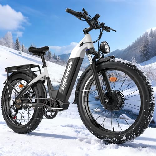 Seemoon 3000W Fat Tire Electric Bike