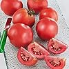 Bonnie Plants Early Girl Tomato 19.3 oz. 4-pack #1