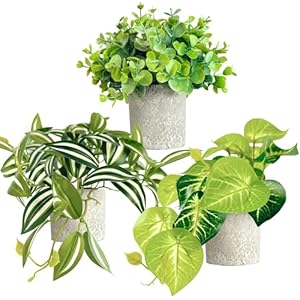 Eucalyptus, Eyebrow Leaf,Epipremnum Aureum,3 Pieces of mini Fake Plants,Artificial Plants Indoor, Hanging Plants, Home Decor Fake Plants,Faux Plants Indoor, Bookshelf Decor