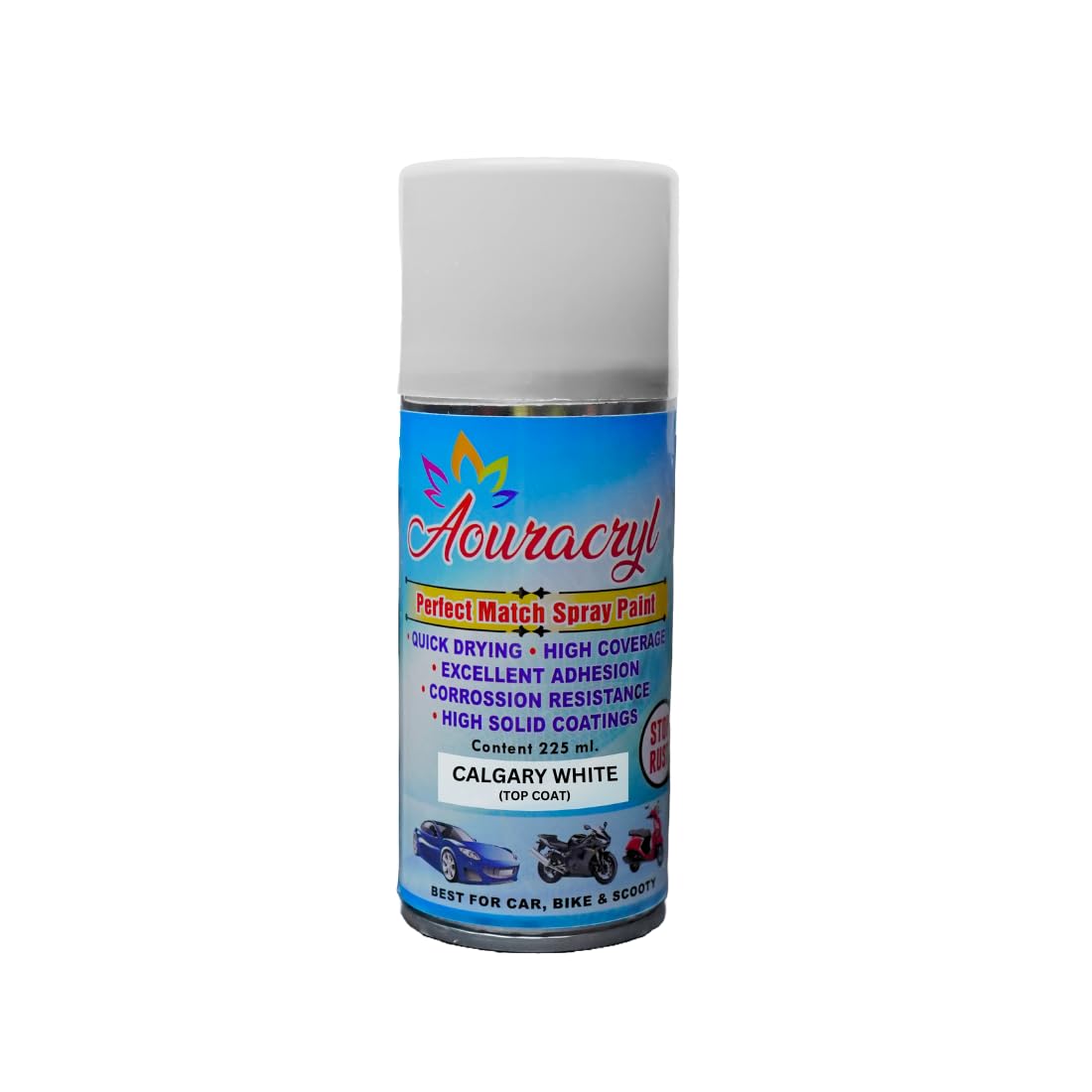 Spray Paint – Calgary White (RC Colour Reference), 225ml | Compatible with TAT. Nexon, Zest & Tiago EV | Smooth Finish & Automotive Touch-Up (Pack of 1)-image-19