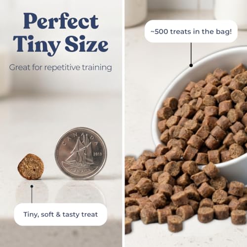 Healthybud Mini Beef Liver Dog Training Treats – Soft Low Calorie Trainer Bites (1 kcal Each) – 500+ Tiny Rewards for Puppies & Small Dogs – with Lion’s Mane & Reishi – Made in Can image 2
