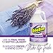 OdoBan Disinfectant Concentrate and Odor Eliminator, 4 Gallons, Lavender Scent