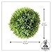 WHW Whole House Worlds Grammercy Grass Ball, 6 Inch Diameter, Lush Green, Artificial Topiary Bowl Filler Greenery Globe, Faux New Growth Texture, Reproduction, Plastic