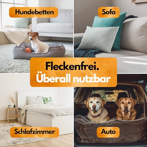 Schädlingsmeister Floh Abwehrspray - 500 ml - Flohspray für Wohnung und Möbel - Schutz mit Eukalyptus & Chrysanthemum-Extrakt - Flohmittel für Wohnung - Flöhe bekämpfen - Floh Spray - Made in Germany