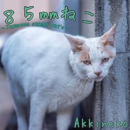 85mmねこ Japanese Street Cat S あきねこ 写真 Kindleストア Amazon 85mmねこ Japanese Street Cat S あきねこ 写真 Kindleストア Amazon