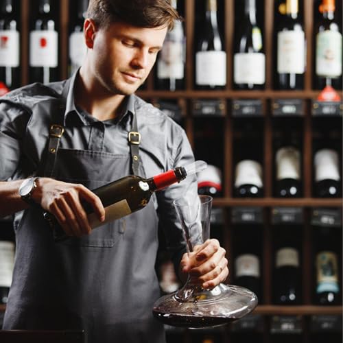 Refroidisseur de vin idée cadeau d'anniversaire et de fêtes - 4