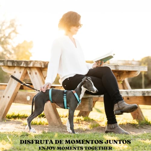 candyPet® 12 in 1 Multi-Position Dog Leash, Hands Free, Adjustable in 7 Lengths, Padded with Neoprene, 240 cm - Image 4