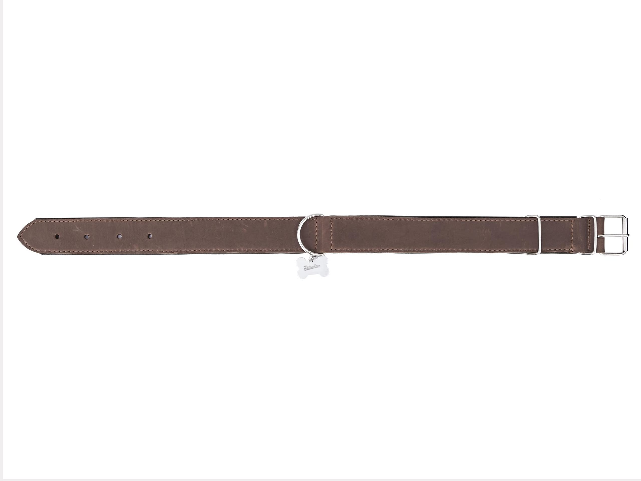 Collier pour chien en cuir avec boucle en métal Marron 65 x 4 cm