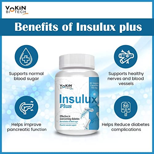 Image of Vokin Biotech Herbal Insulux Plus For Endocrine Health and Diabetes Control Berberine 200mg and Milk Thistle 200mg (60 Capsules) With Vijaysar Glass Natural Herbal Tumbler