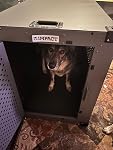 Review Image by Amazon Customer