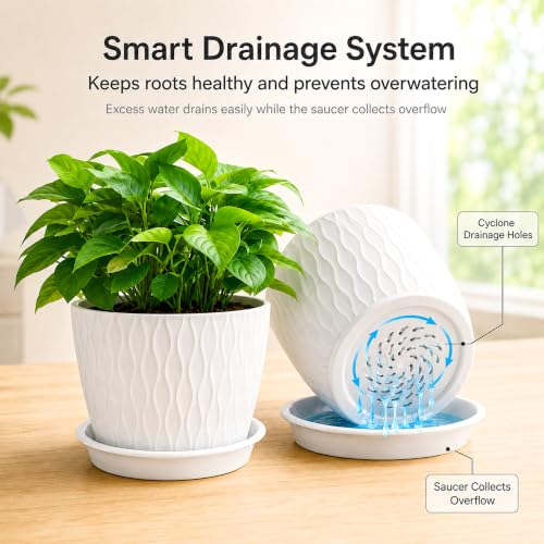 Image of SWAPKART (Pack of 5 6 Inch Plastic Flower Pots for Indoor & Outdoor Terrace,Garden Plants Decorative Planters with Drainage Holes & Matching Saucers Durable & Lightweight (White)