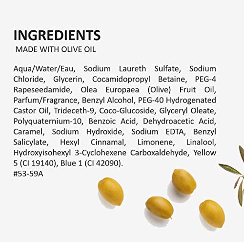 Fruits And Passion Cucina Coriander And Olive Tree 8.4 Oz Mini Size Purifying Hand Wash, Hand Soap Refill #TOP5