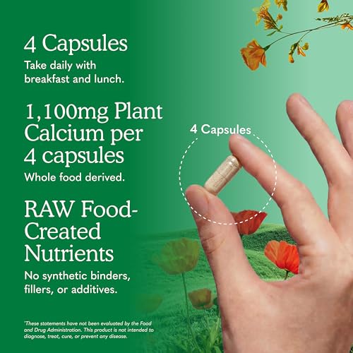 Image of Garden of Life Raw Calcium Supplement for Women and Men - Vitamin Code Made from Whole Foods with Magnesium, K2, Vitamin D3 and Vitamin C plus Probiotics for Digestion, 120 Capsules
