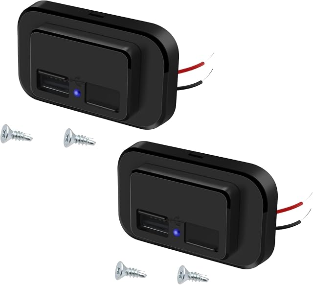 4.8A Dual USB Car Charger Socket,12V/24V Power USB Fast Charge Socket Panel with Spring Cover,Used for Motorcycles Boats RVs Trucks Golf Carts Caravan Marine(2 Packs)