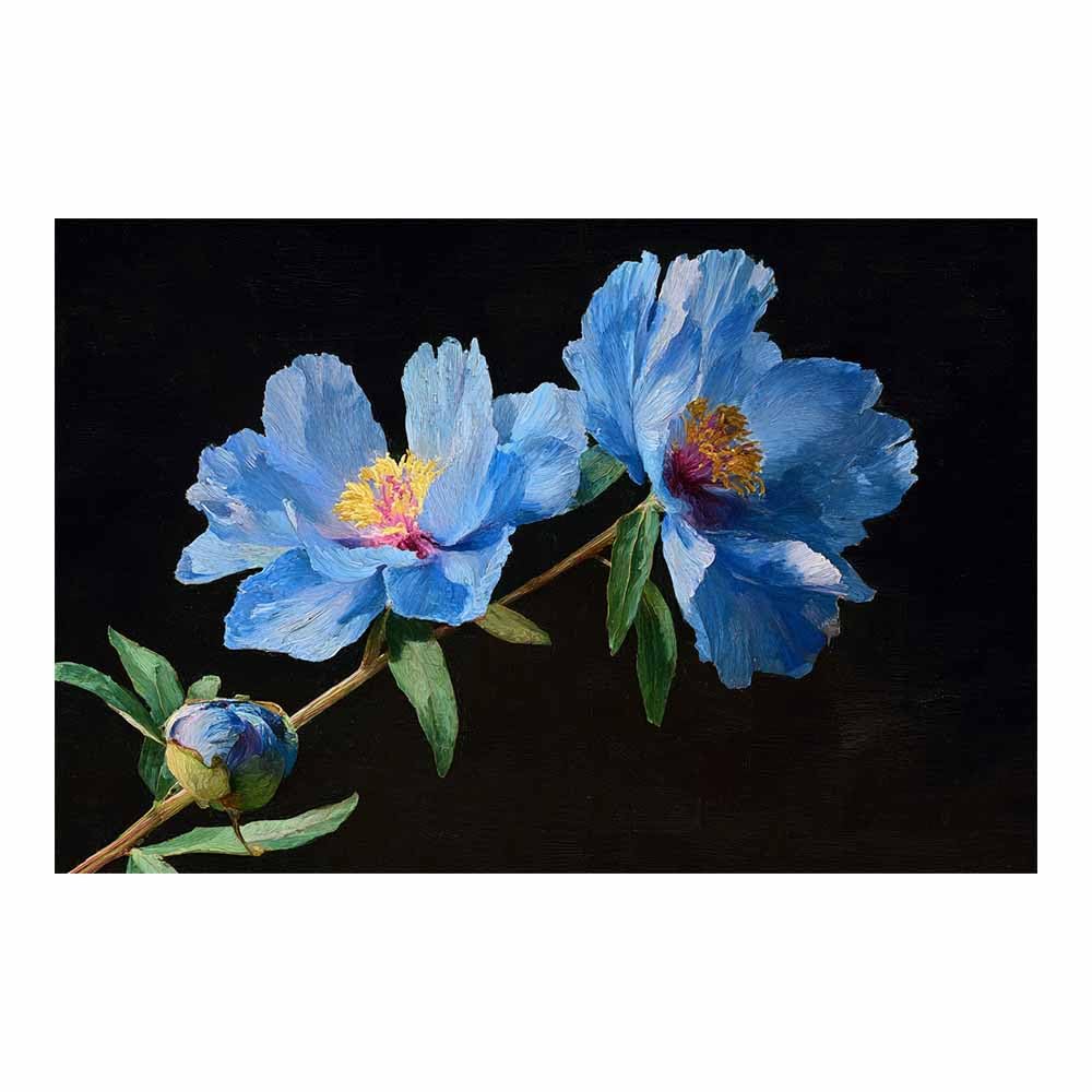 Hoqiu Multicolor Flowers Wall Canvas Blue Peony Botanical Print Artwork, Wall Decoration Living Room Bedroom Hallway Stairs Decoration.(Multicolor)-80X120cm Unframed