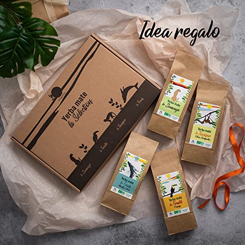 ORIGEENS COFANETTO MATE BIO x4 | La selvaggia - La fruttata - La tonica - La fresca | Yerba mate Bio 4x80gr | Set mate, Idea regalo - 7