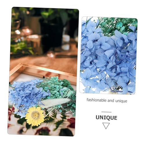 Flores prensadas secas para manualidades y decoración miniatura 5