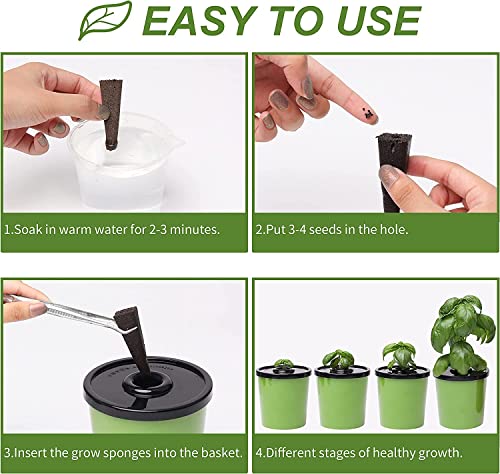 Colorful Hydroponic Planters Kit = 48 Growing Sponges + 6 Hydroponic Planters + Scissors, LAWNFUL Hydroponic Jars as Herb Growing Kit Indoor, Decorative Kitchen Window Vegetable Garden (Kratky Method) - Image 4
