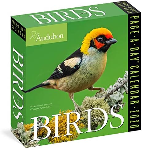 Audubon Birds Page-A-Day Calendar 2020 Calendar – Day to Day Calendar, July 23, 2019