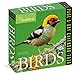 Audubon Birds Page-A-Day Calendar 2020