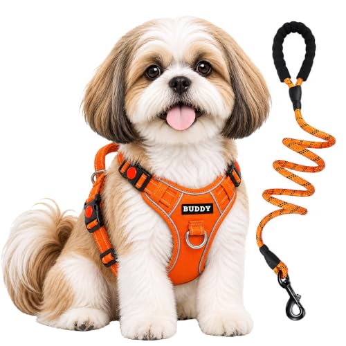 Image of Dog Harness for Small Dogs | No Pull, Adjustable, Reflective, Harness Leash Combo for 5-13Kg Pets (Orange, Small)