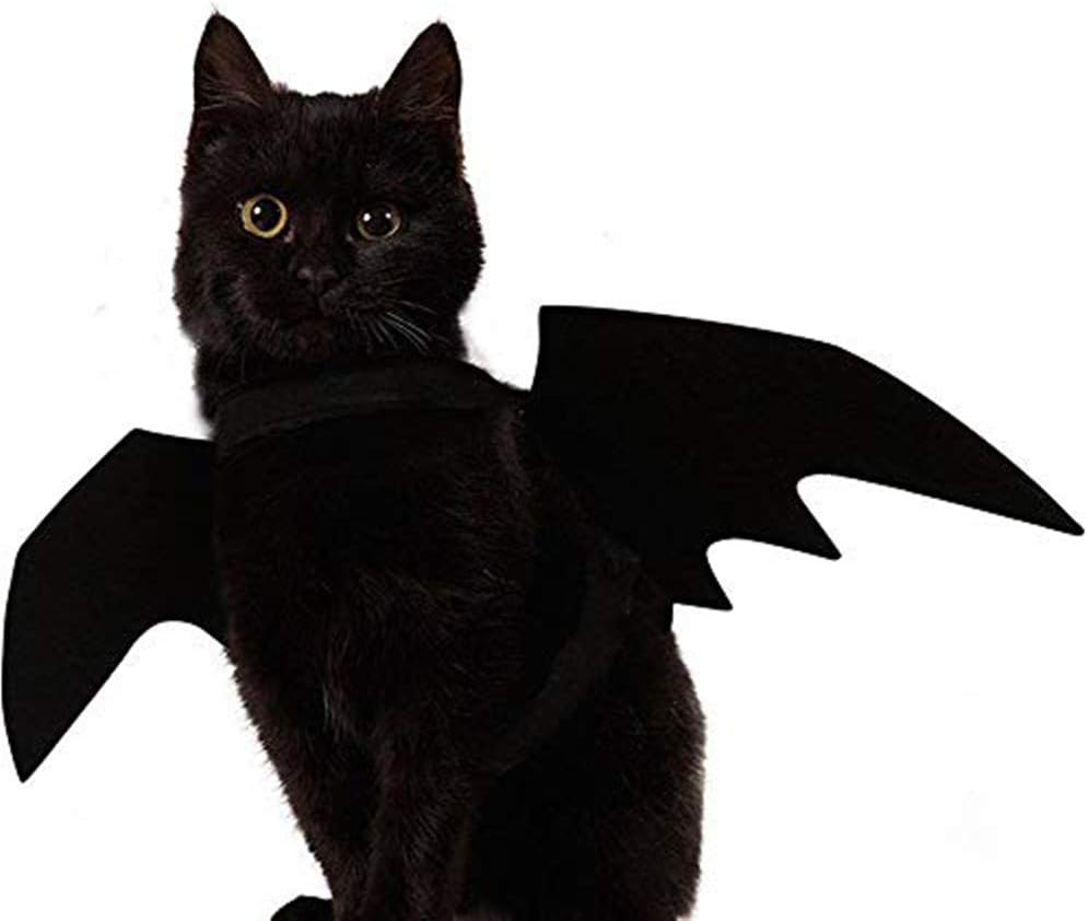 G GOLDBELL Cat Halloween Costume Cat Bat Wings Pet Bat Cosplay for Small Dogs and Cats with 1 Pcs Pumpkin Bell