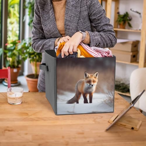 Boîtes de rangement renard pliable pour armoire gain de place - 8