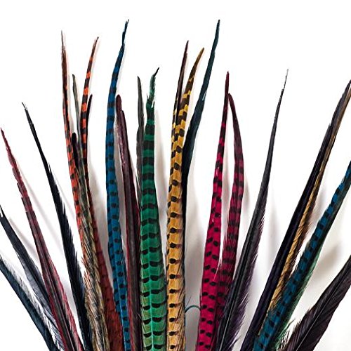 Schuman Feathers, Ringneck Pheasant Feathers, Dyed Over Natural, 20 inches Long, per 10 Pieces (Purple)