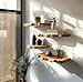 Live Edge Floating Wall Shelves, Teak Wood, Modern Rustic Decor (15