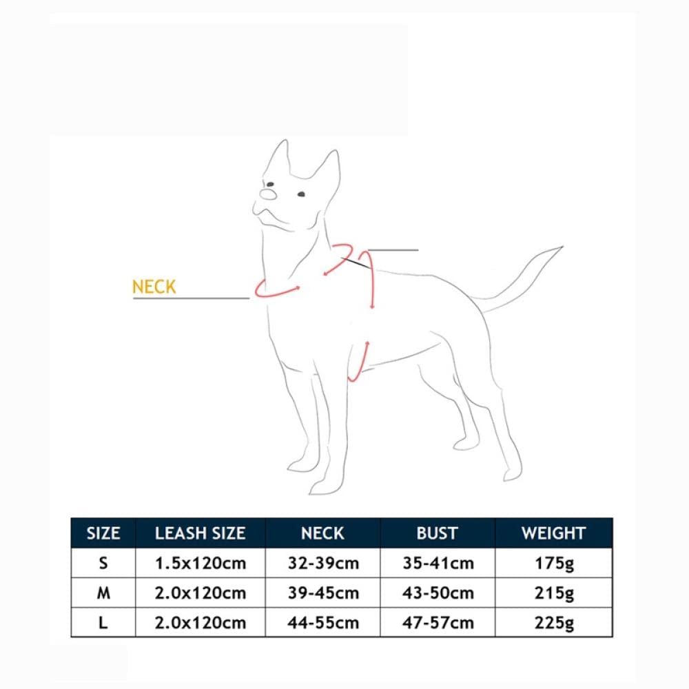 Conjunto de Correas Reflectantes para Perros, arnés y Correa para Entrenamiento de Paseo, Chaleco para Cachorros, Correas para Perros Grandes, transportín para Perros (H, S)