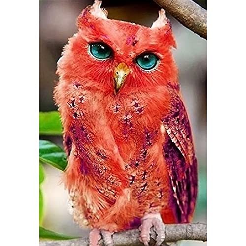 Diamond painting hibou rouge grand format 50x100cm en kit complet strass