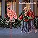 Homeimpro Garden Solar Lights Flamingo Decor Gifts for Women Yard Outdoor Decorations Stake Lights, Waterproof Warm White 27 LED for Lawn,Patio, Courtyard, for Mom Grandma