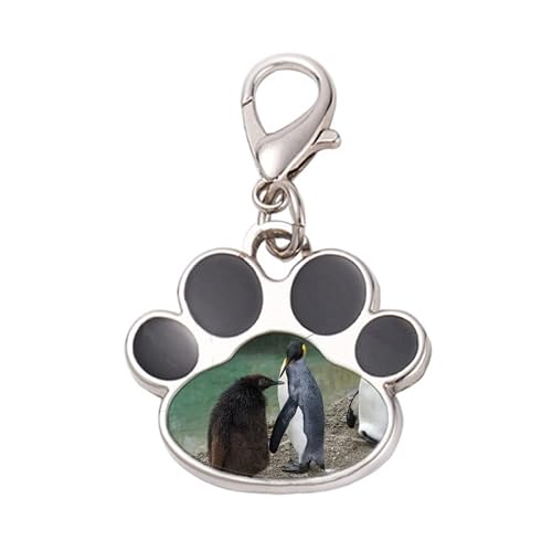 DIYthinker?Sea Cold Antarctic Penguin Science Nature Picture Pet Tag Keychain Dog Cat ID