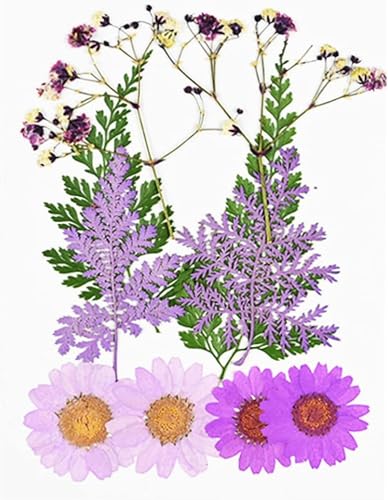 Flor seca pequeña para decoración y manualidades miniatura 4