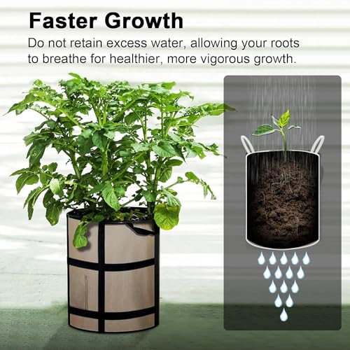 Grow Bags 6Pack - 10 Gallon Potato Grow Bags with Window to Harvest, Thickened Fabric Pots with Handles, Garden Bags to Grow Vegetables, Potatoes Tomato Chili Carrot