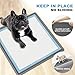 AUFORPET Silicone Pee Pad Holder, Extra Thick Tray for 24