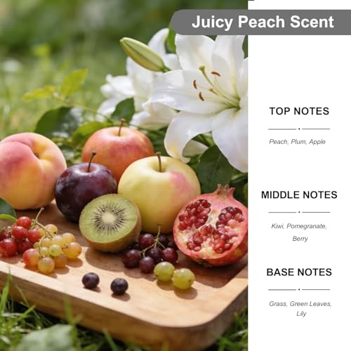 Image of 2-Pack Car Air Fresheners, Car Deodorizer, Juicy Peach Air Freshener Long Lasting Hanging Car Air Freshener for Men and Women, Car Scent Diffuser by VUTOLLOSA