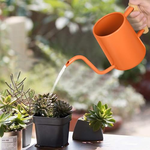 Image of Watering Can Indoor Plants, 35 oz /1000 ml Metal Stainless Steel Watering Can Pot with Long Spout for Indoor House Plants Bonsai Outdoor Garden Flower Decorative (Orange)