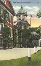 State Hospital Shamokin, Pennsylvania PA Original Antique Postcard