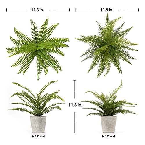 Briful Small Fake Plant Artificial Potted Plants Decor Set Of 2 Faux Boston Fern Plants In Pots For Home Table Office Desk Bathroom Shelf Living Room Farmhouse Decoration #TOP1