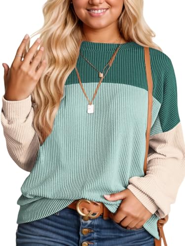 Image of DOLNINE Plus Size Tops for Women Long Sleeve Color Block Ribbed Knit Tunic