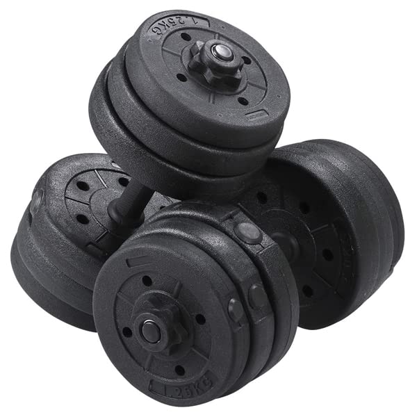 Set Haltères 20 Kg Abician - 12 Plaques Poids Ajustables - Revêtement Plastique Pour Sols - Musculation Maison