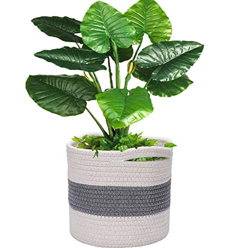 SHEEFLY Baumwollseil-Pflanzkorb, 20,3 x cm Cover