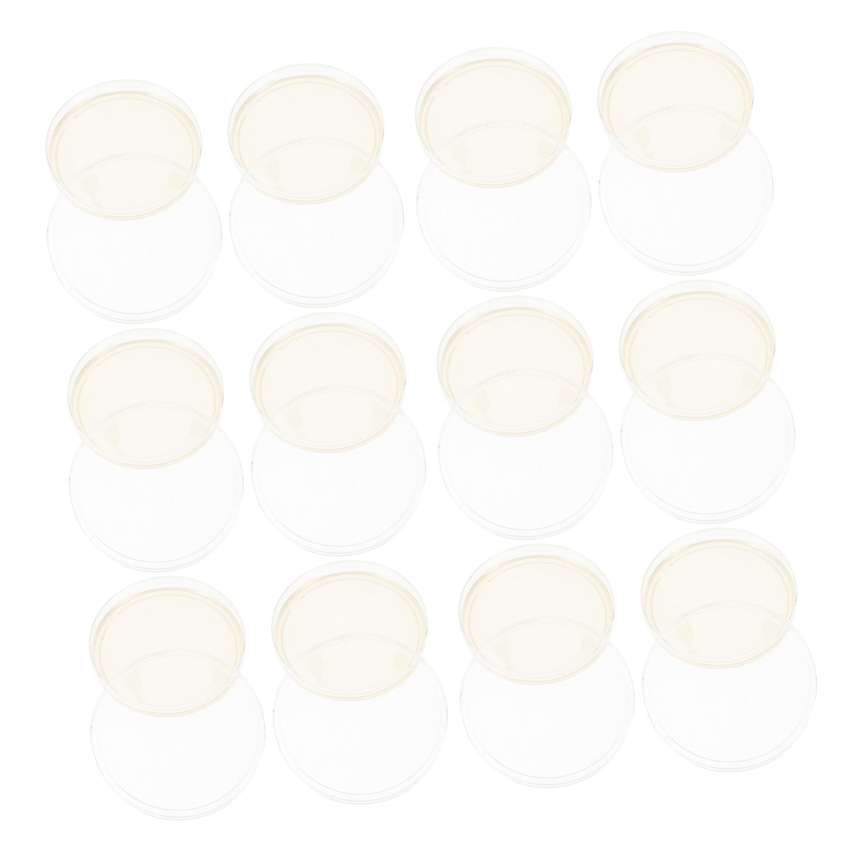 Placas de Petri Tapas Herméticas 20 Pre-vertido de Agar Nutritivo de 9cm para Cultivo Celular y Hongos en Experimentos Científicos de Laboratorio