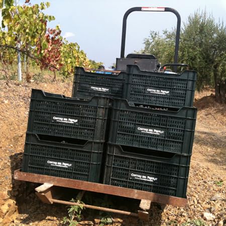 Caisse CR-ACAL pour 18 kg de raisins (500 x 380 x 270 mm) Sunbox / CR-ACAL
