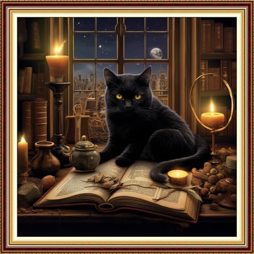Image of Funchey Stamped Cross Stitch Kits, DIY Cross Stitch Pattern for Adults Beginners Needlepoint Kits Embroidery Kit Arts and Crafts 11CT-Black Cat Book 18x18 inch