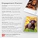 Dachshunds | 2026 6 x 7.75 Inch Spiral-Bound Wire-O Weekly Engagement Planner Calendar | New Full-Color Image Every Week | BrownTrout | Animals Dog Breeds Pets