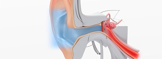 Otovent Adult Autoinflation Device - Clinically Effective Treatment for Glue Ear