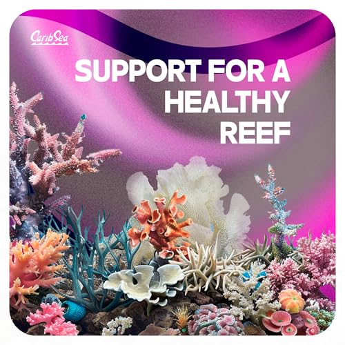 Image of CaribSea LifeRock Shapes - 20 lbs - Natural Aragonite Rock for Aquascaping, Supports Coral Growth & Tank Stability for Marine & Reef Tanks