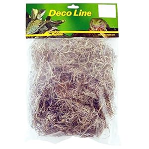 Lucky Reptile Spaans mos 50 g, inrichting van droge en vochtige terraria